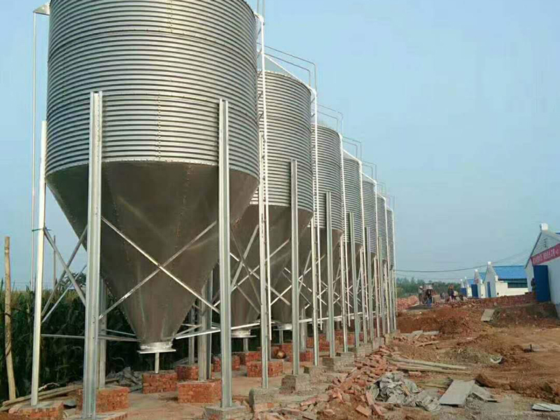 飼料塔如何解決養(yǎng)豬問題?